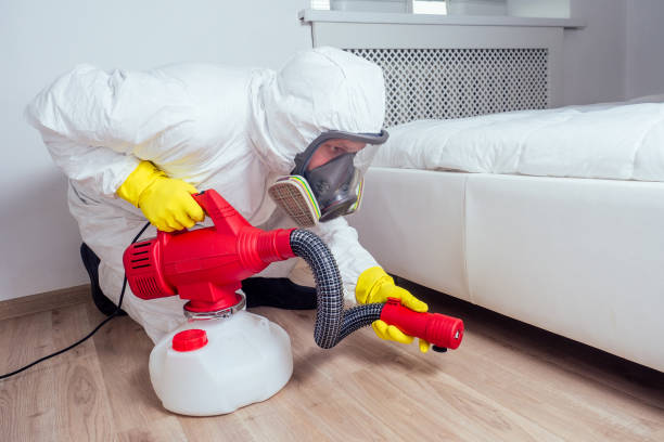 Best Rat Extermination Near Me  in Merchantville, NJ