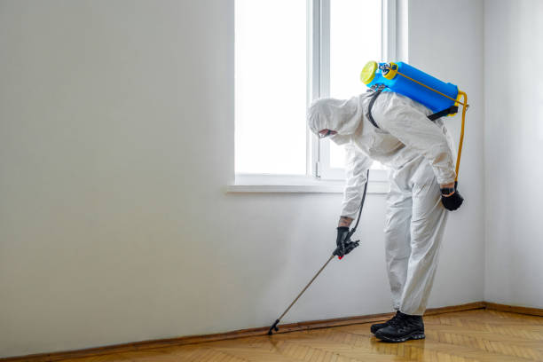 Best Residential Pest Control  in Merchantville, NJ