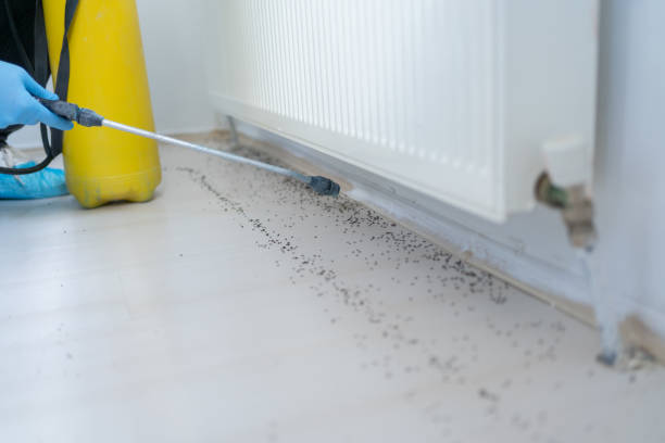 Best Pest Inspection Near Me  in Merchantville, NJ