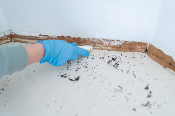 Merchantville, NJ Pest Control Company