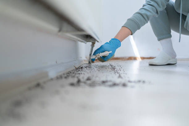 Best Affordable Pest Control Services  in Merchantville, NJ